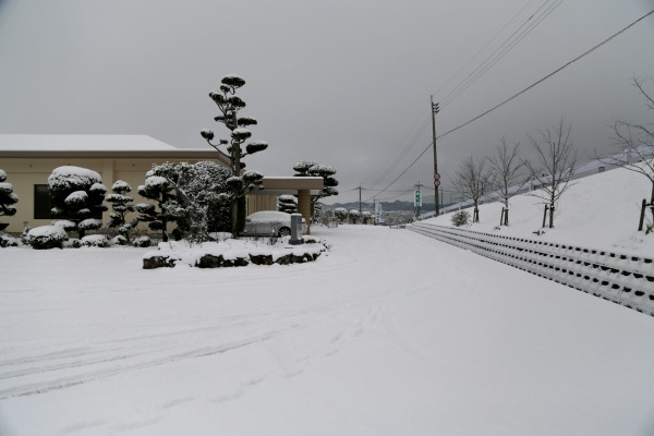 2016/1雪景色